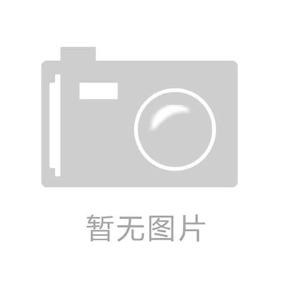 标准制定